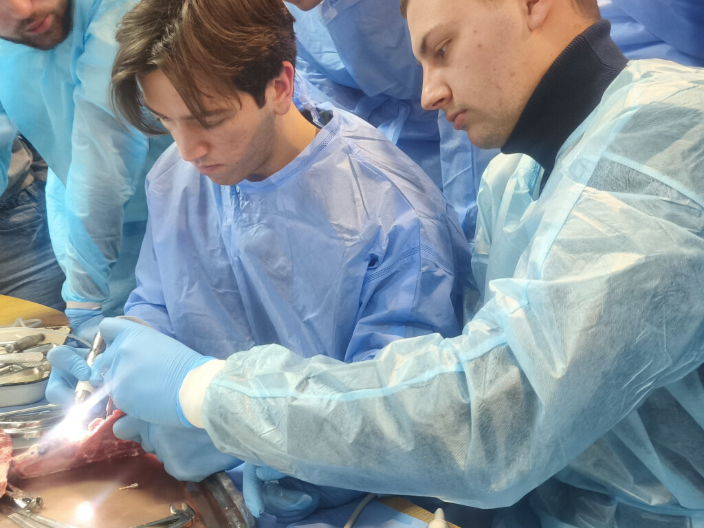 22 січня 2026 року був проведений майстер-клас «Доцільність використання кісткових блоків для відновлення горизонтальних та вертикальних дефектів альвеолярного відростка»